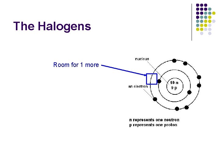 The Halogens Room for 1 more 