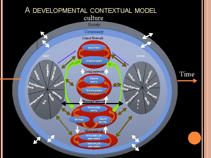 A DEVELOPMENTAL CONTEXTUAL MODEL culture Society Community School Network teachers parent child classmates Child’s