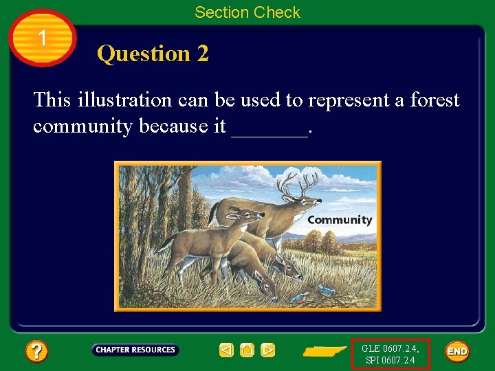 Section Check 1 Question 2 This illustration can be used to represent a forest