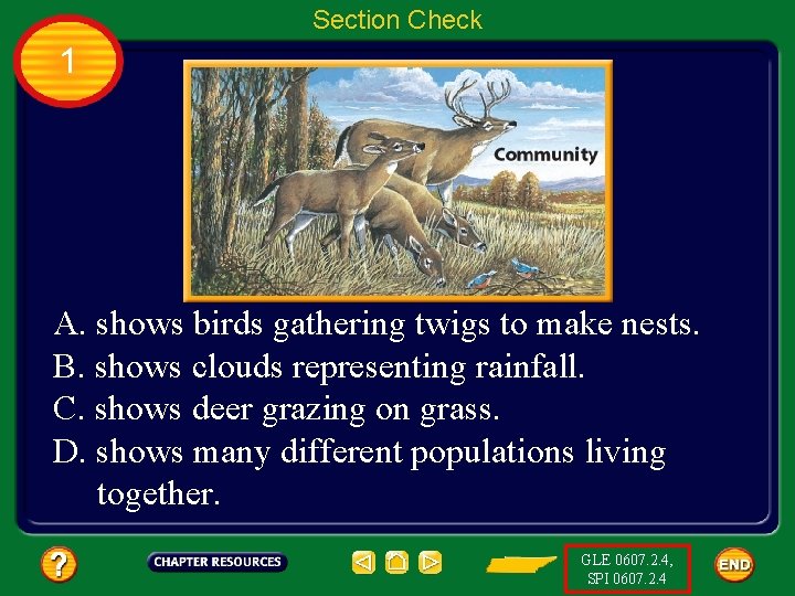 Section Check 1 A. shows birds gathering twigs to make nests. B. shows clouds