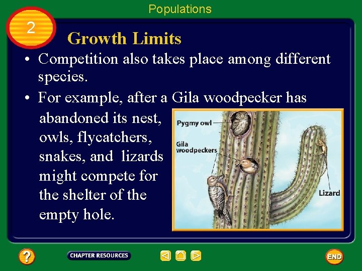 Populations 2 Growth Limits • Competition also takes place among different species. • For