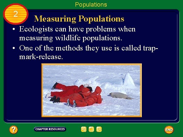 Populations 2 Measuring Populations • Ecologists can have problems when measuring wildlife populations. •