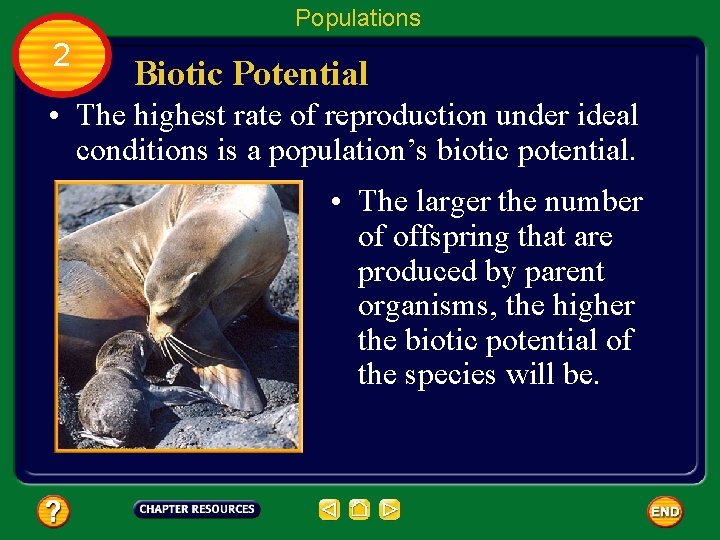 Populations 2 Biotic Potential • The highest rate of reproduction under ideal conditions is