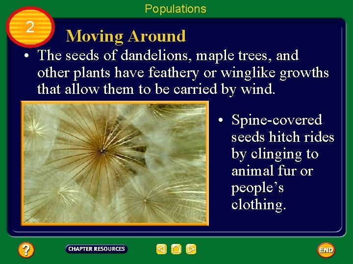 Populations 2 Moving Around • The seeds of dandelions, maple trees, and other plants
