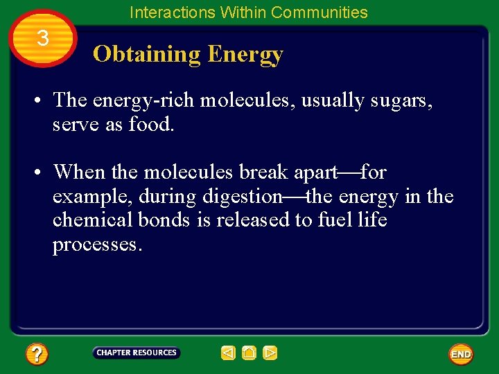 Interactions Within Communities 3 Obtaining Energy • The energy-rich molecules, usually sugars, serve as