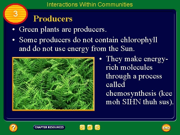 Interactions Within Communities 3 Producers • Green plants are producers. • Some producers do