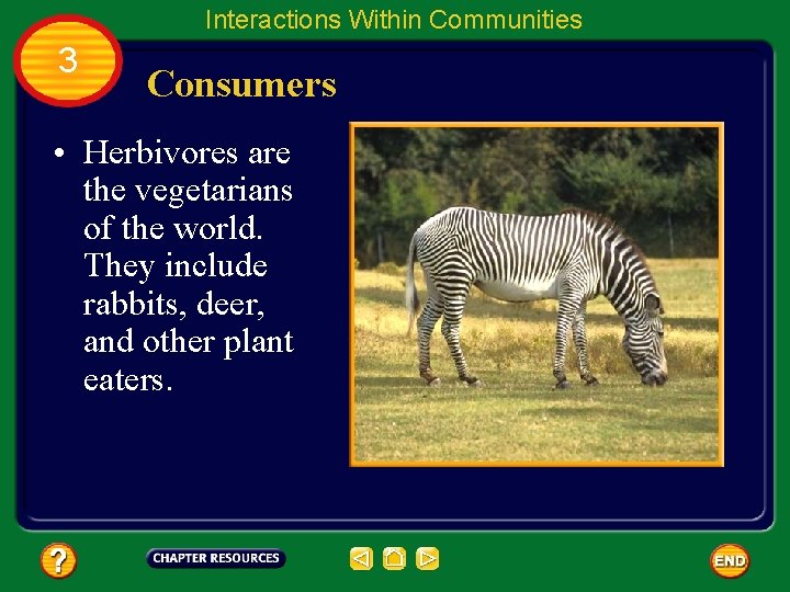 Interactions Within Communities 3 Consumers • Herbivores are the vegetarians of the world. They