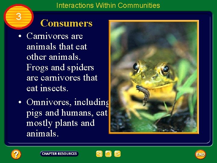 Interactions Within Communities 3 Consumers • Carnivores are animals that eat other animals. Frogs