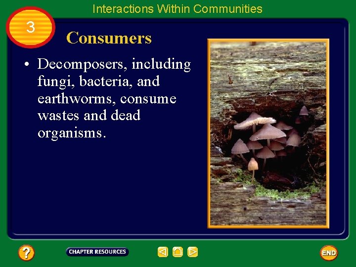 Interactions Within Communities 3 Consumers • Decomposers, including fungi, bacteria, and earthworms, consume wastes