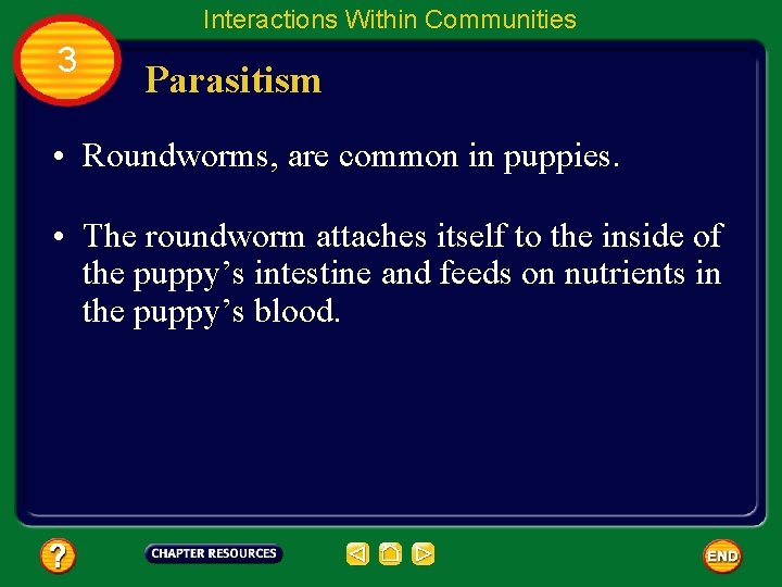 Interactions Within Communities 3 Parasitism • Roundworms, are common in puppies. • The roundworm