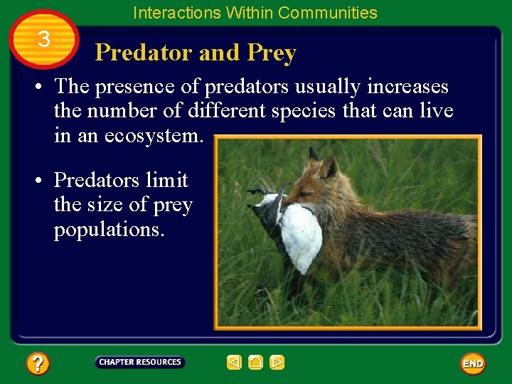 Interactions Within Communities 3 Predator and Prey • The presence of predators usually increases