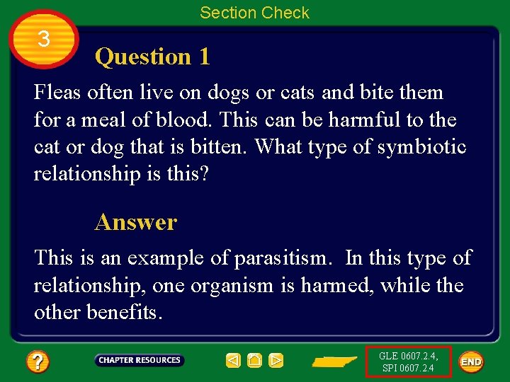 Section Check 3 Question 1 Fleas often live on dogs or cats and bite