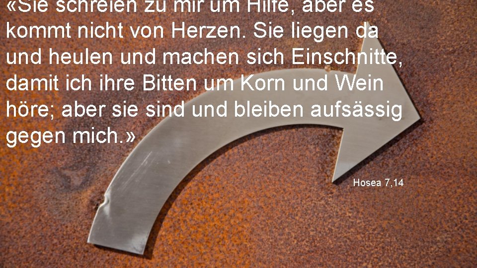  «Sie schreien zu mir um Hilfe, aber es kommt nicht von Herzen. Sie