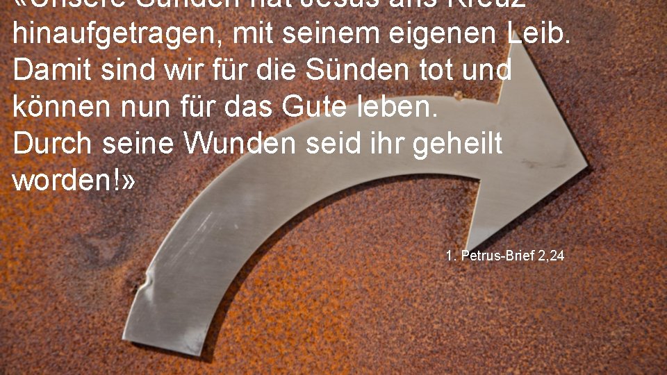  «Unsere Sünden hat Jesus ans Kreuz hinaufgetragen, mit seinem eigenen Leib. Damit sind