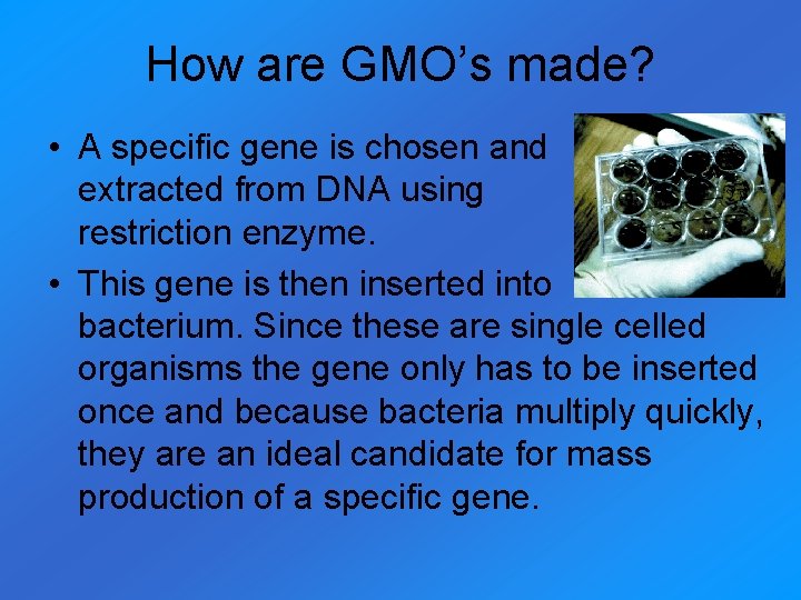 How are GMO’s made? • A specific gene is chosen and then extracted from