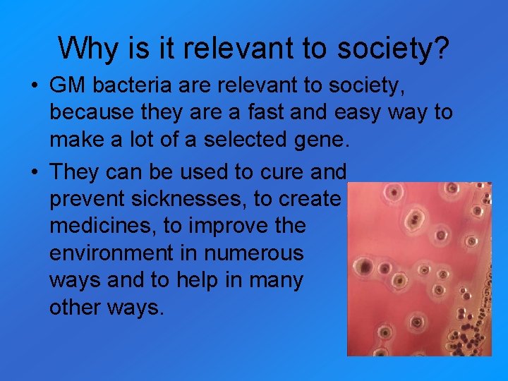 Why is it relevant to society? • GM bacteria are relevant to society, because