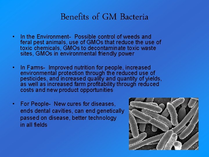 Benefits of GM Bacteria • In the Environment- Possible control of weeds and feral
