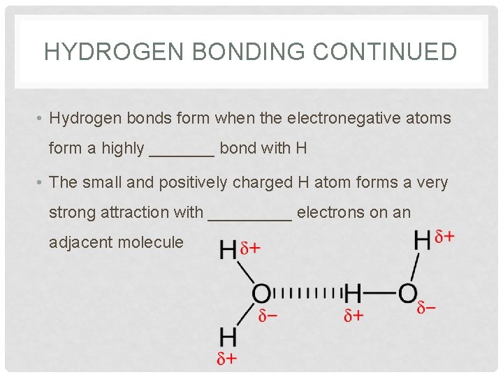 HYDROGEN BONDING CONTINUED • Hydrogen bonds form when the electronegative atoms form a highly