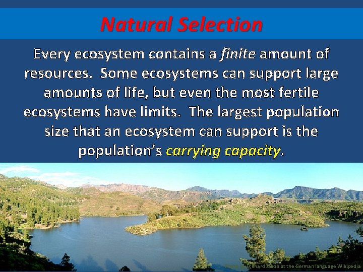 Natural Selection Every ecosystem contains a finite amount of resources. Some ecosystems can support