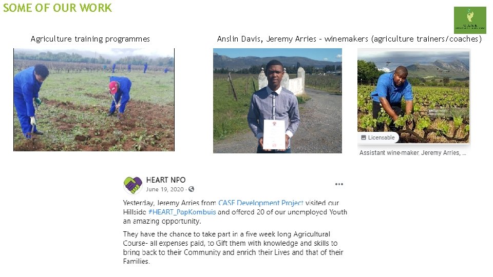 SOME OF OUR WORK Agriculture training programmes Anslin Davis, Jeremy Arries – winemakers (agriculture