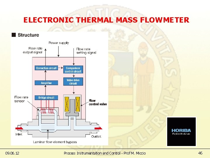 ELECTRONIC THERMAL MASS FLOWMETER 09. 06. 12 Process Instrumentation and Control - Prof M.