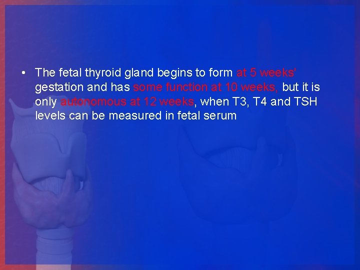  • The fetal thyroid gland begins to form at 5 weeks' gestation and