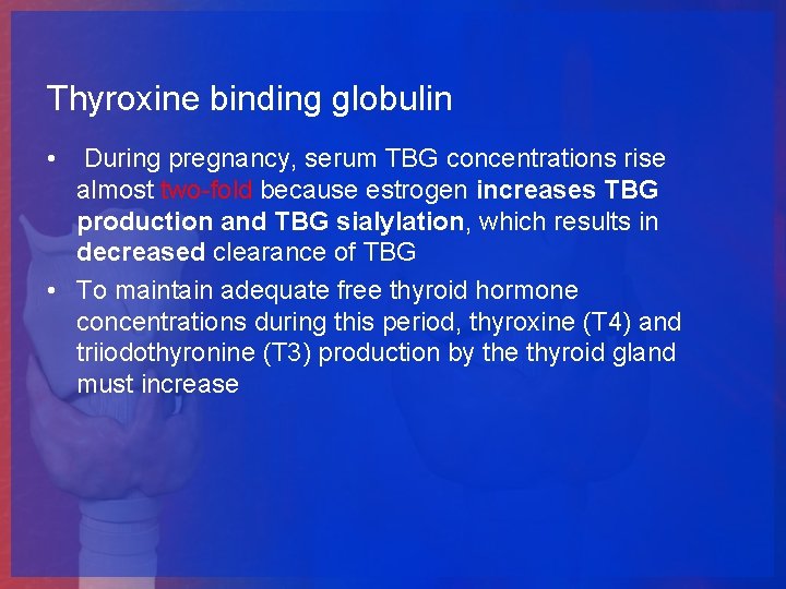 Thyroxine binding globulin • During pregnancy, serum TBG concentrations rise almost two-fold because estrogen