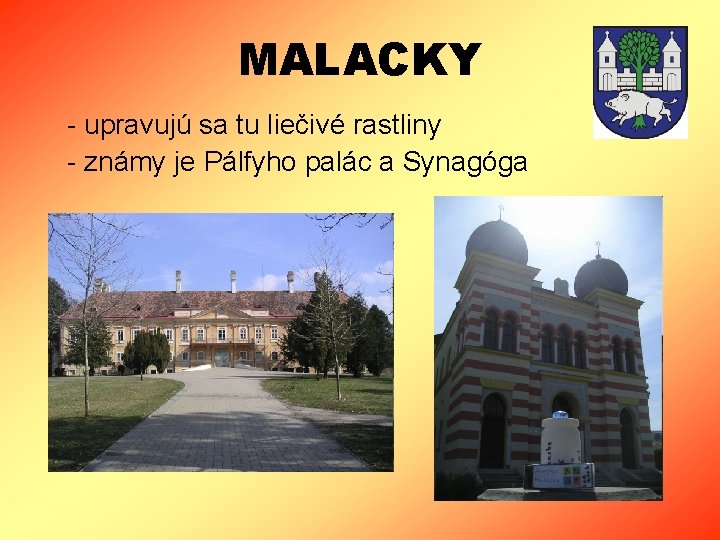 MALACKY - upravujú sa tu liečivé rastliny - známy je Pálfyho palác a Synagóga