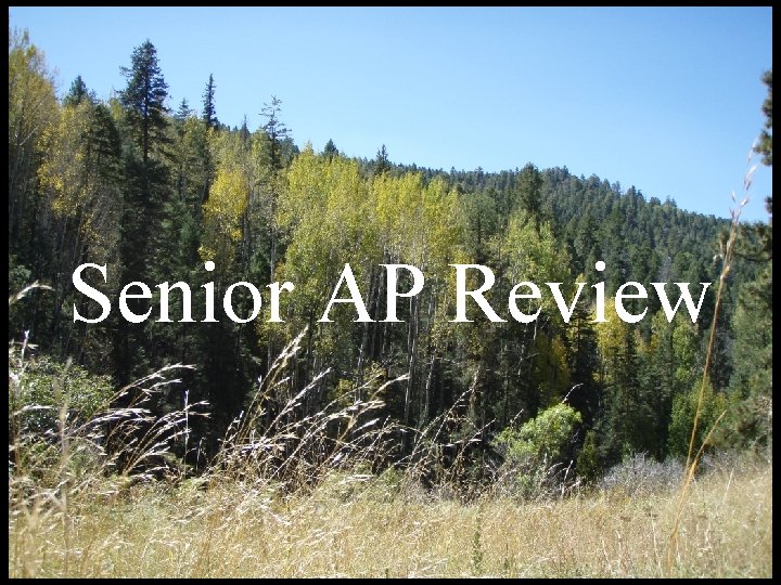 Senior AP Review 