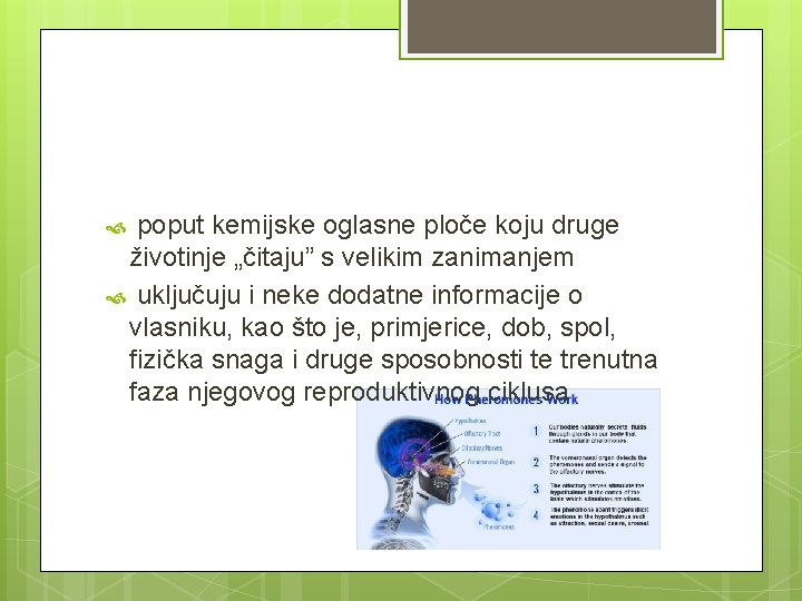 poput kemijske oglasne ploče koju druge životinje „čitaju” s velikim zanimanjem uključuju i neke