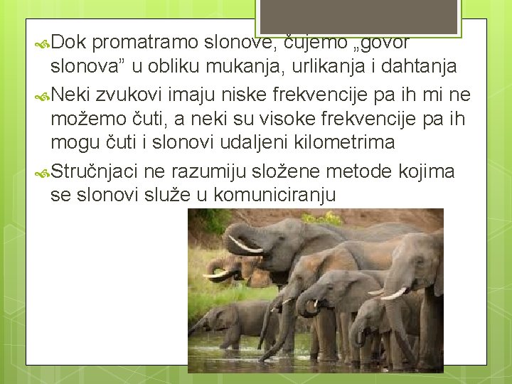  Dok promatramo slonove, čujemo „govor slonova” u obliku mukanja, urlikanja i dahtanja Neki