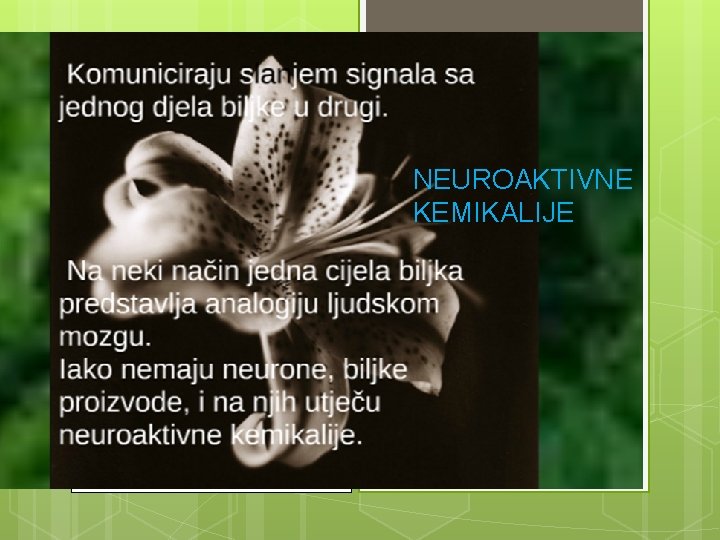 NEUROAKTIVNE KEMIKALIJE 