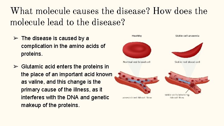 What molecule causes the disease? How does the molecule lead to the disease? ➢