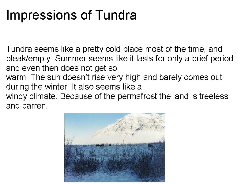 Impressions of Tundra seems like a pretty cold place most of the time, and