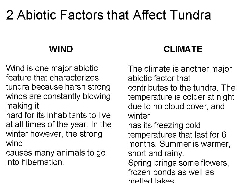 2 Abiotic Factors that Affect Tundra WIND CLIMATE Wind is one major abiotic feature