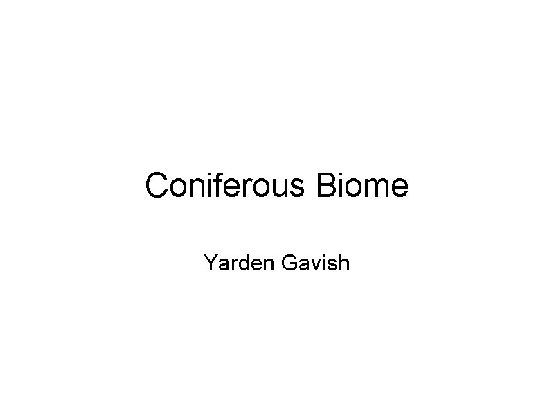 Coniferous Biome Yarden Gavish 