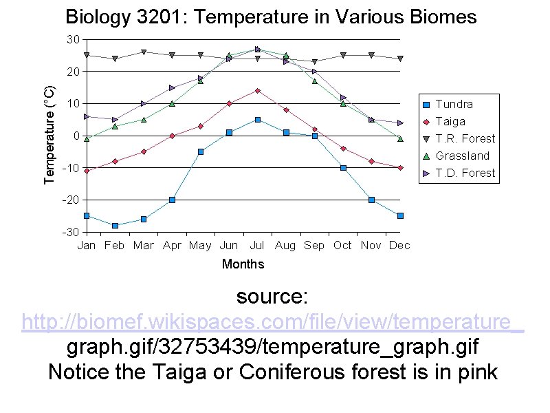 source: http: //biomef. wikispaces. com/file/view/temperature_ graph. gif/32753439/temperature_graph. gif Notice the Taiga or Coniferous forest