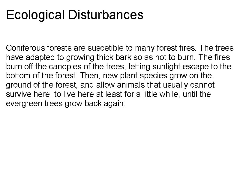 Ecological Disturbances Coniferous forests are suscetible to many forest fires. The trees have adapted