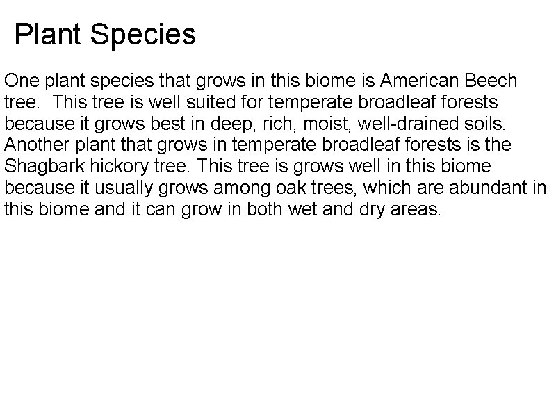 Plant Species One plant species that grows in this biome is American Beech tree.