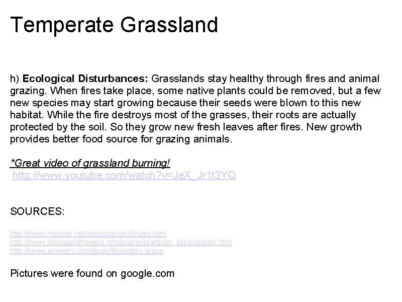 Temperate Grassland h) Ecological Disturbances: Grasslands stay healthy through fires and animal grazing. When