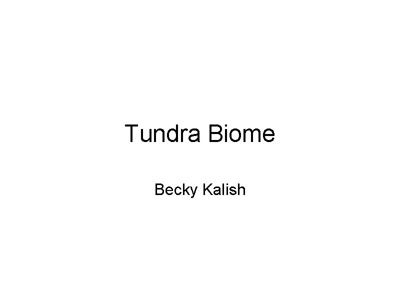 Tundra Biome Becky Kalish 