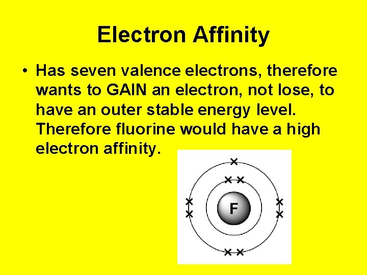 Electron Affinity • Has seven valence electrons, therefore wants to GAIN an electron, not