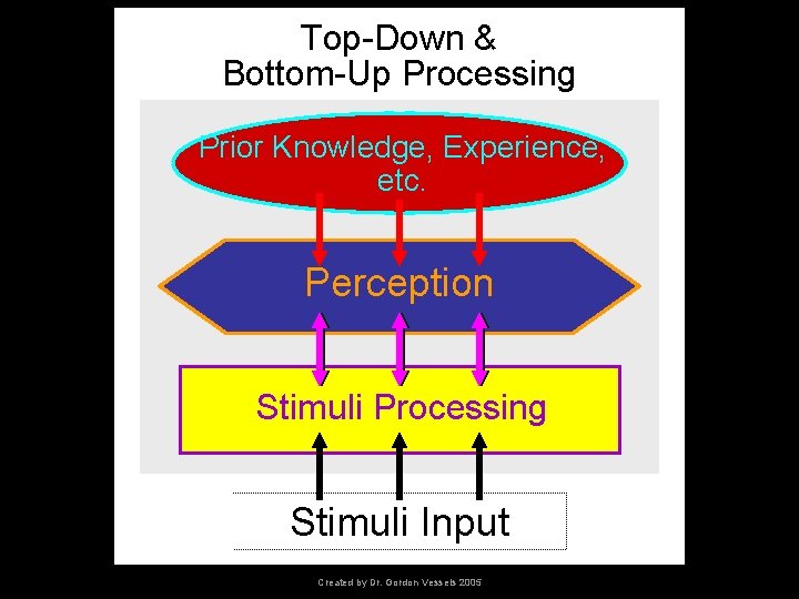 Top-Down & Bottom-Up Processing Prior Knowledge, Experience, etc. Perception Stimuli Processing Stimuli Input Created