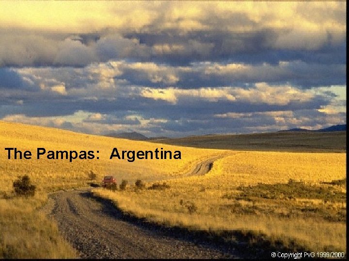 The Pampas: Argentina 