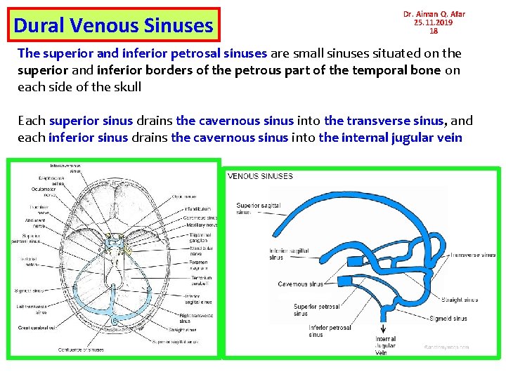 Dural Venous Sinuses Dr. Aiman Q. Afar 25. 11. 2019 18 The superior and