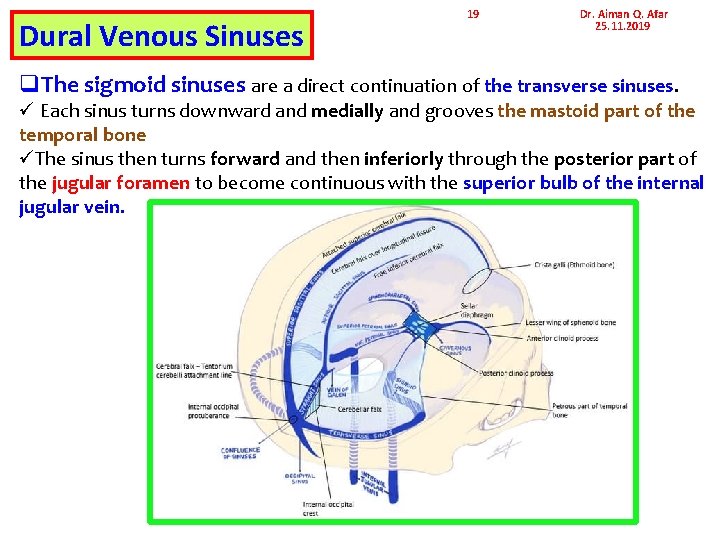 Dural Venous Sinuses 19 Dr. Aiman Q. Afar 25. 11. 2019 q. The sigmoid