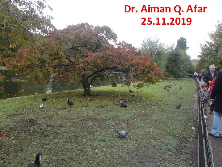 Dr. Aiman Q. Afar 25. 11. 2019 Dr. Aiman Q. Afar 27 