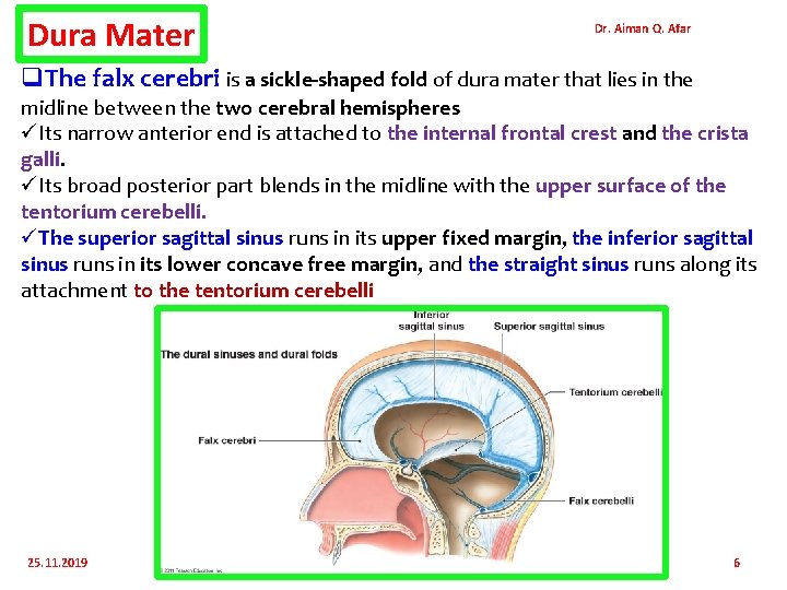 Dura Mater Dr. Aiman Q. Afar q. The falx cerebri is a sickle-shaped fold