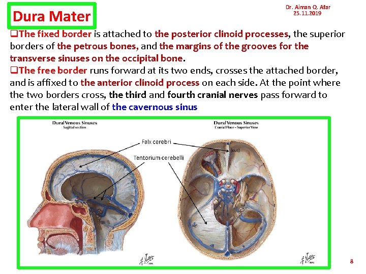 Dura Mater Dr. Aiman Q. Afar 25. 11. 2019 q. The fixed border is