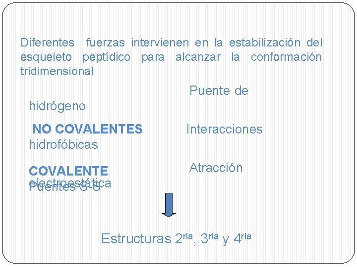 Diferentes fuerzas intervienen en la estabilización del esqueleto peptídico para alcanzar la conformación tridimensional